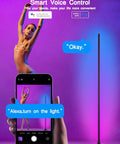 2 Pack Dope RGBIC LED Floor Lamp With App Control and Remote, Alexa and Google Assistant compatible, music sync feature.