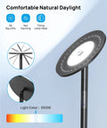 Close-up of Bright Sky Led Modern Torchiere Floor Lamp's 56 LED head, showing touch dimmer and 5500K natural daylight feature.