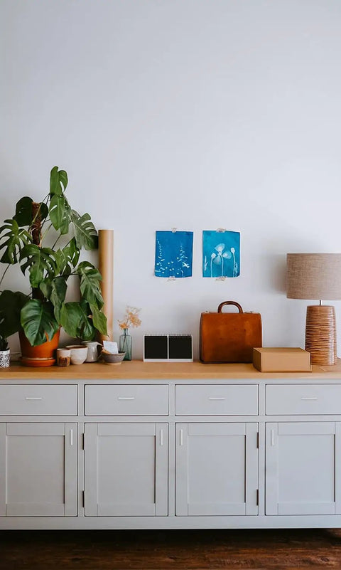 Home setting with white cabinets, green plants, artwork, and decor, showcasing interior style and organization.