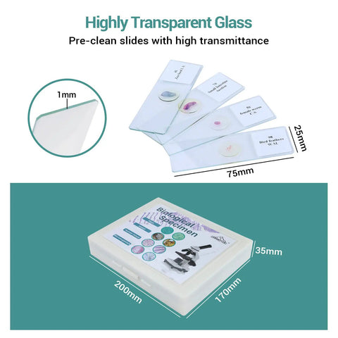 100 Prepared Microscope Slides With Specimens For Kids And Adults Kid Friendly And Perfect For Students And Homeschool Science Projects Plants Animals Insects High Quality Optical Glass, slides and box dimensions diagram
