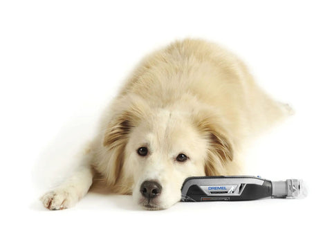 Dog lying beside Pet Nail Guard Attachment With 45 Degree Paw Guide For Dog And Cat Nail Trimming No Mess Dust Capture Fur Guard