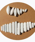 22 Piece PTFE Magnetic Stir Bar Set With Retriever Includes 21 Stir Bars In Various Sizes And Shapes For Beakers And Flasks