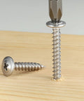 Black Wood Screw Set With Phillips Modified Truss Head Stainless Steel 410 Self Tapping Assortment For Wood And Metal
