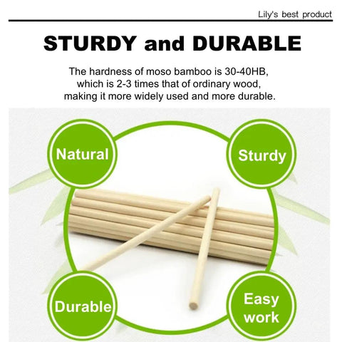 Top Tier 100 Piece 1/8 By 6 Inch Wooden Dowel Rods Smooth Bamboo Craft Sticks Bulk DIY Staple for Cake Decorating. Sturdy and natural.