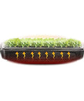 Prism Lens Powered LED Mini Greenhouse Kit With NanoTech Light Reflector And Double Thick Tray showing airflow for seed starting
