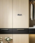 Black Brushed Zinc Alloy Train Cabinet Knobs For Bedroom Furniture Set Of 2 mounted on wooden wardrobe