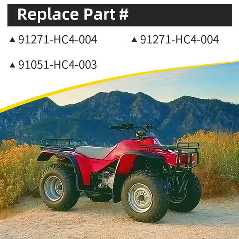 Trail-ready FourTrax 300 TRX300FW ATV, compatible with Honda Rear Differential Bearings Seals Kit For FourTrax 300 TRX300 TRX300FW 1988-2000 Beefed Up O-Ring And Seal Pack With 3 Bearings, 3 O-Rings, 4 Oil Seals, Needle Bearing Set For Smooth Trail Rides
