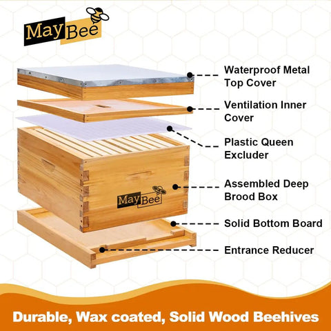Exploded view of 10 Frame Beehive Starter Kit with deep brood box, top cover, queen excluder, and solid bottom board.