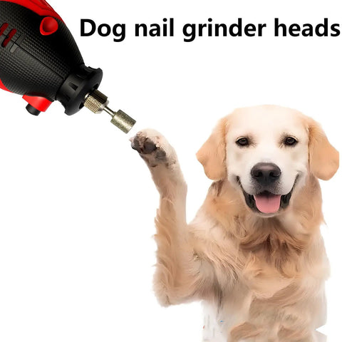 Electric tool with grinding bit near dog, similar to Pro Grade Beast Diamond Grinding Bit Set For Rotary Tools 8mm Head