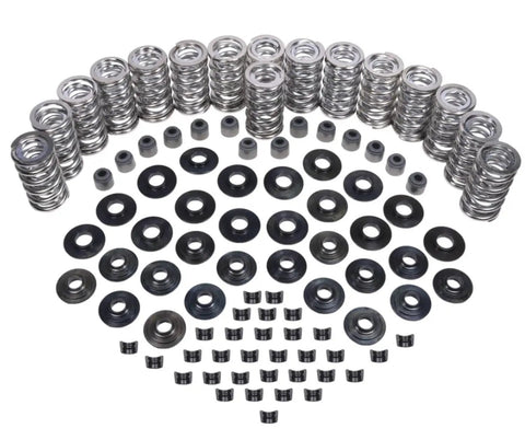 Real Deal Stage One Camshaft Package for Chevy GM V8 Engines with dual valve springs and steel keepers shown in layout.