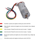 DC 6V Encoder Gear Motor Kit With Mounting Bracket And 65mm Wheel Kit shown with color-coded wires for connections