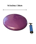 Balance Disc Cushion 14 Inch For Dogs With Pump And 2 Rehab Exercises shown with hand pump and dimensions.