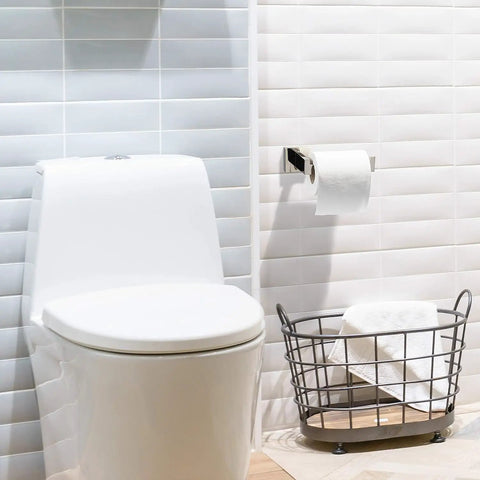 Chrome Toilet Paper Holder Wall Mount Square Silver 304 Stainless Steel Rustproof, Rotate Proof Bracket next to modern toilet