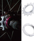 Freewheel Flywheel Single Speed Sprocket For Fixed Gear 14T Heavy Duty Galvanized Steel on bike hub and isolated view
