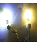 Close-up of two glowing G4 Base 6V DC 1W Microscope LED Lamp 2 Pack White 6000K High CRI, showing cool and warm light colors.