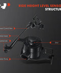 Ride Height Level Sensor structure showing lower control arm, sensor lever, control link, and strut for 2004-06 GM SUVs.