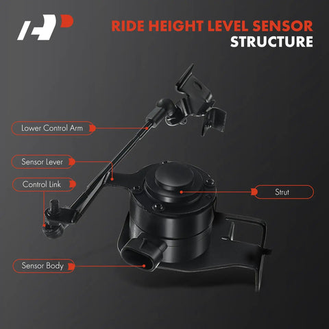 Ride Height Level Sensor structure showing lower control arm, sensor lever, control link, and strut for 2004-06 GM SUVs.