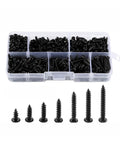 M3 Self Tapping Screws Set 500 Pcs Phillips Pan Head Carbon Steel for Woodworking and Furniture DIY Projects in plastic organizer.