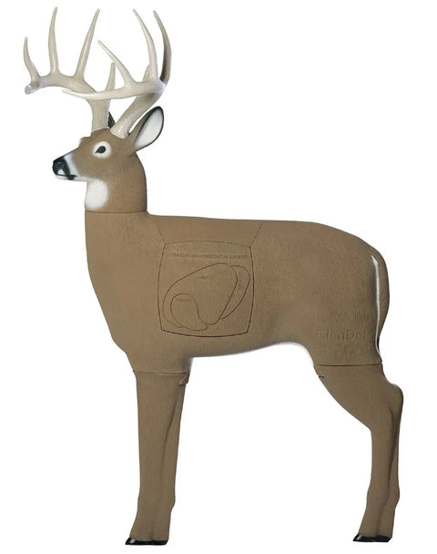 Life Like 3D Buck Archery Target That Stops Broadheads And Field Tips, 200 Pound Whitetail Body With 34 Inch Shoulder And 150 Inch B And C Antlers