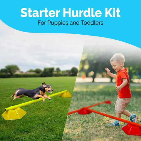 Dog and child using Hexa Agility Cones Set For Dogs And Kids, 20 Color Coded Training Cones With 5 Cm Height And 7 Cm Hurdle outdoors