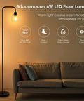 Cool Industrial Glass Globe LED Floor Lamp 63 Inch Tall Black Standing Reading Light next to sofa with warm glow in living room.