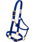 Blue nylon horse halter with brass hardware, showing design features like buckle and strap detailing on adjustable nylon horse halter.