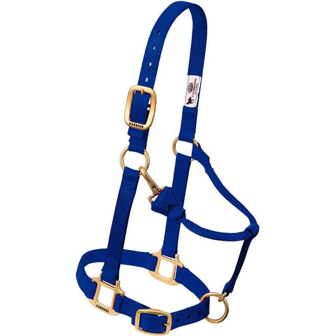 Adjustable Nylon Horse Halter For Weanlings And Ponies Durable Nylon With Triple Ply Cheek Box Stitch Reinforcement Built To Last Heavy Duty Brass Hardware Secure Fit Black displayed against a white background