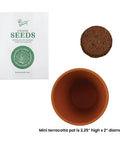 Bulk Daisy Planting Kit With 20 Genuine Terracotta 5cm Pots, Soil Pellets, And Seed Packets for easy planting, shown from above