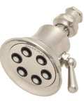 Anystream 360 Showerhead With Three Spray Settings, Consistent 2.5 GPM Flow, Brushed Nickel Finish, close-up view