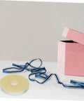 Heavy Duty Strapping Tie Roll For Easy Bundling And Shipping next to a pink box with a ribbon, transparent packing strap visible