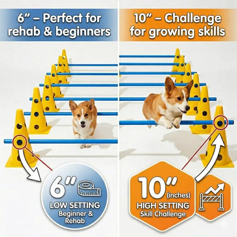 Dog Agility Training Kit with 12 cone hurdles and adjustable jump bars, Corgi demonstrating low and high settings for various skills