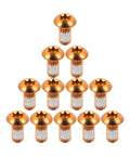 12 Pcs Bicycle Disc Brake Bolts 6 Bolt M5x10mm Stainless Steel Orange Finish Beefy Rotor Bolts for Mountain Bikes Front And Rear