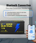 Badass Heavy Duty 24 Volt 314Ah LiFePO4 Battery Bank With 300A Smart Bms Bluetooth Connectivity for monitoring battery status.