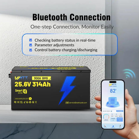 Badass Heavy Duty 24 Volt 314Ah LiFePO4 Battery Bank With 300A Smart Bms Bluetooth Connectivity for monitoring battery status.