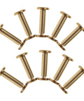 No Brainer 10 Piece Golden Copper Binding Screw Posts Bundle arranged in a circle, ideal for photo albums and scrapbooks.
