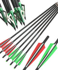 Carbon Crossbow Bolts Set 16 17 18 20 22 Inch With Screw In Broadheads For Hunting And Target Practice Low Hand Shock Consistent Flight Durable Arrows Red 20 Inch 12 Pack with broadheads and vanes displayed