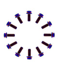 Pack of 12 burnt blue titanium flanged hex bolts, M6x1.0x13mm, 6AL-4V aerospace grade.