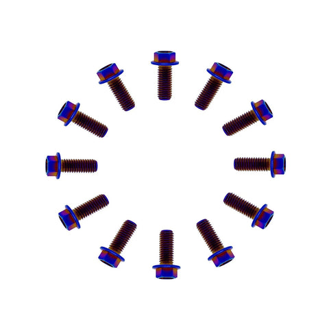 Pack of 12 burnt blue titanium flanged hex bolts, M6x1.0x13mm, 6AL-4V aerospace grade.