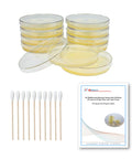 Science Fair Ready Bacteria Kit With Pre Poured LB Agar Plates And Cotton Swabs Includes Free E Book Of Award Winning Experiments