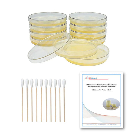 Science Fair Ready Bacteria Kit With Pre Poured LB Agar Plates And Cotton Swabs Includes Free E Book Of Award Winning Experiments