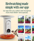 Smart Solar Pro Hummingbird Feeder With Camera And AI Bird Identification 2K Video Capture 5MP Photos Outdoor Hanging Bird Feeder Perfect Gift For Backyard Bird Watching Fans with app interface and hummingbird images.