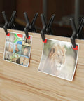Heavy Duty Nylon Spring Clamp Set, 16 Piece With 6-1/2 Inch, 4-1/2 Inch, And 3-3/8 Inch Clamps securing photos on board