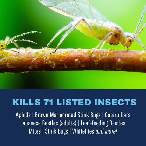 Close-up of aphid on a branch, text reads 'Kills 71 Listed Insects' including aphids, stink bugs, caterpillars, beetles.
