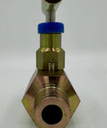 Needle valve, 1/2 in NPT, brass body with blue cap, front view