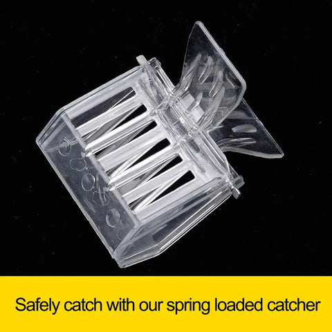 Clear Queen Bee Cage Catcher Clip Set For Beekeeping Tools Beekeeping Essentials Spring Loaded Queen Grabber close-up on black background