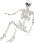 Epic Life Size Halloween Skeleton With Movable Joints, Realistic Gray Plastic Bones, 5.4 Feet Tall, seated indoor decor