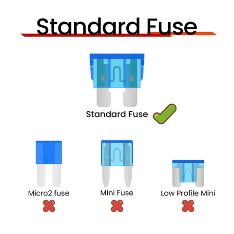 Standard automotive fuse comparison displaying Standard Fuse as correct and Micro2, Mini, Low Profile Mini as incorrect.