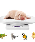 Portable Pet Scale With Tray LCD Digital Weighing Scale Up To 33 Lbs For Small Pets Like Puppies Kitten Hamster Lizard Chameleon