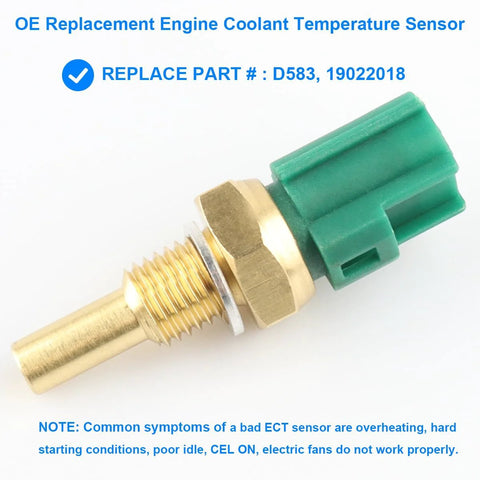 Engine coolant temperature sensor with brass body and green plastic connector, close-up.