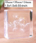 12 Pack Tiny Nature Plant Specimens In Resin For Crystal Clear Close Ups And Study, dandelion seeds in resin block, 1.5x1.5x0.55 inch